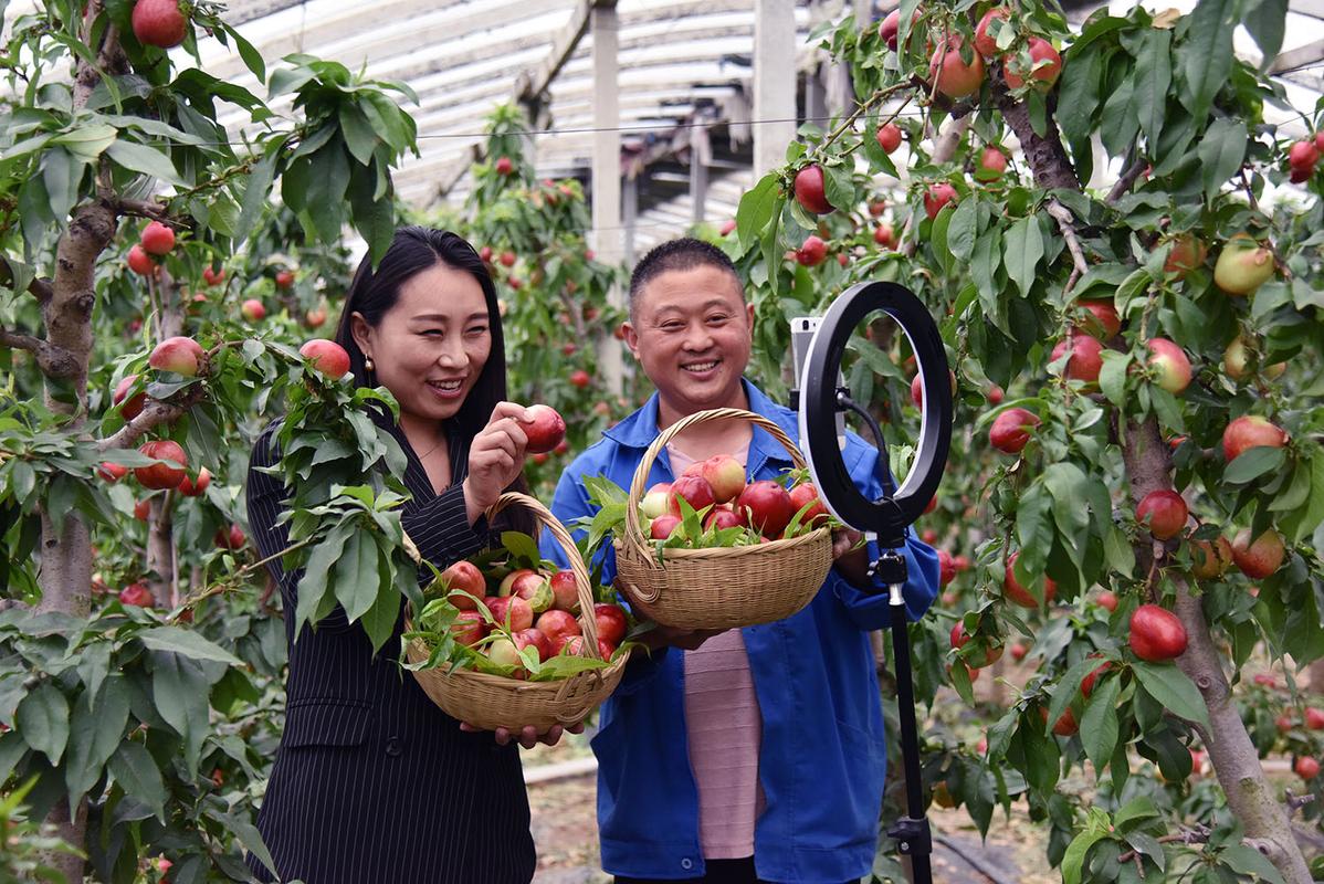 天天更新飞禽走兽影院的相关介绍
